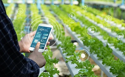agriculture-services-image08
