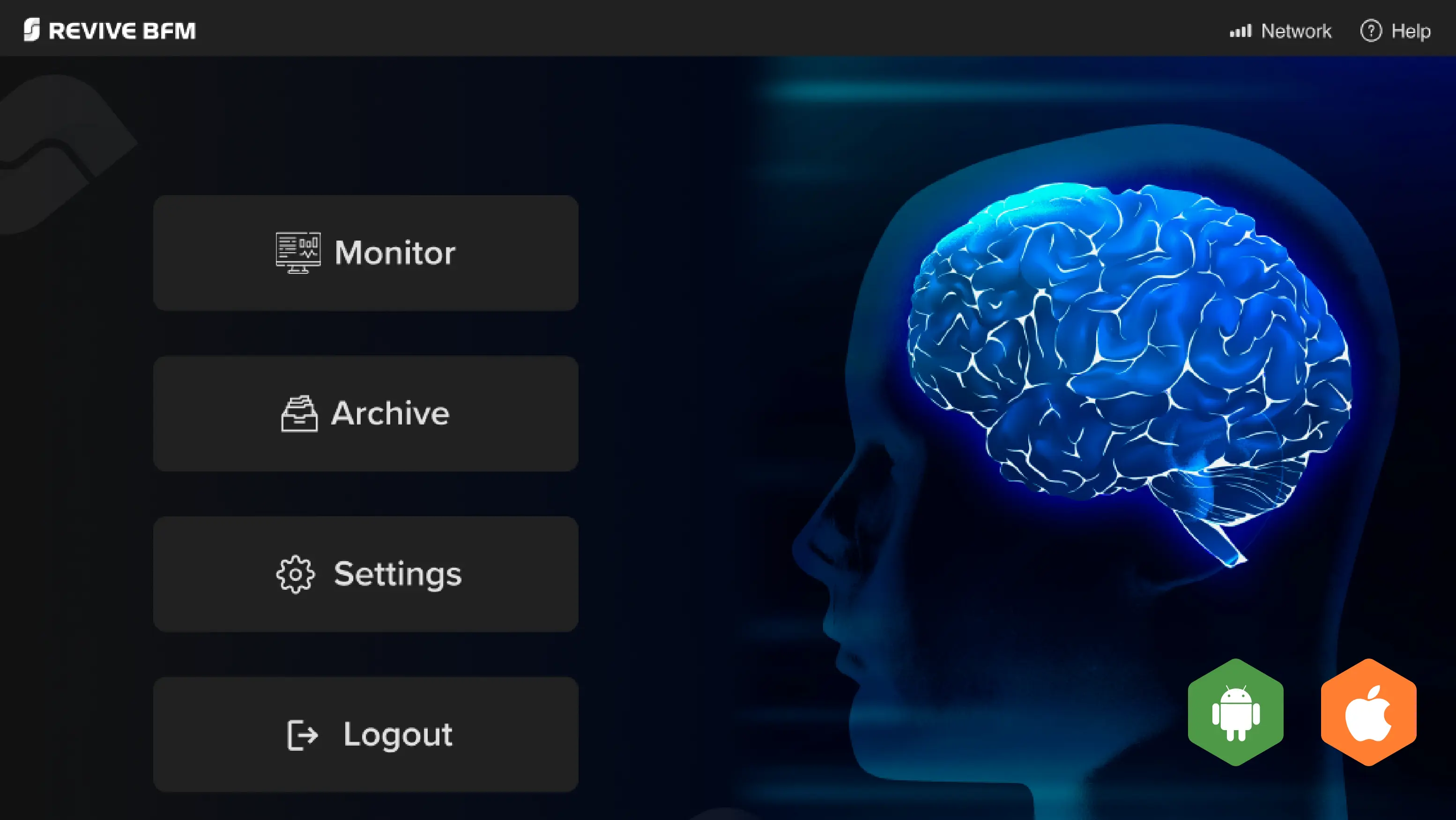 Brain Function