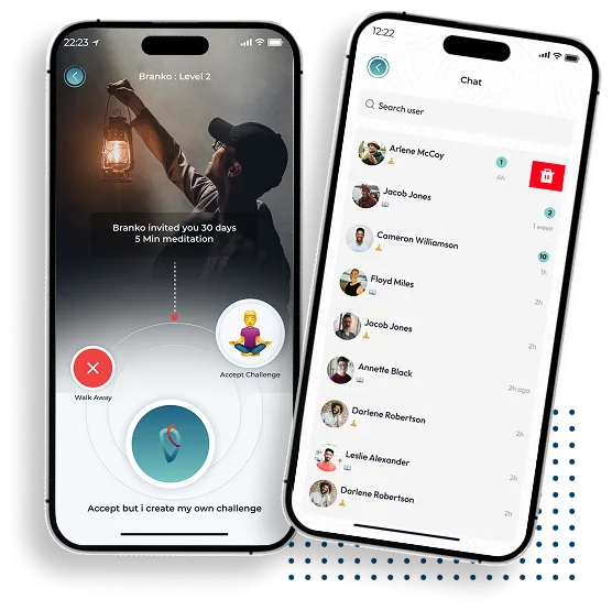 project features image